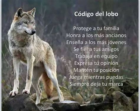 la palabra de lobos|los lobos meaning in english.